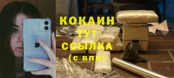крисы Арсеньев