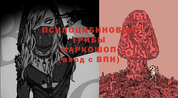 крисы Арсеньев