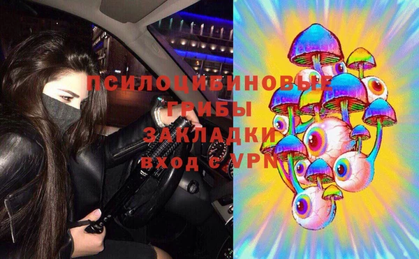 тгк Армянск