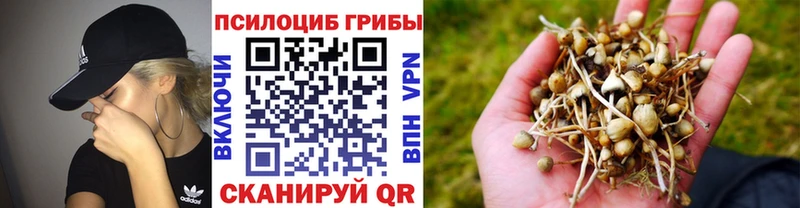 Галлюциногенные грибы MAGIC MUSHROOMS  что такое   Калач 